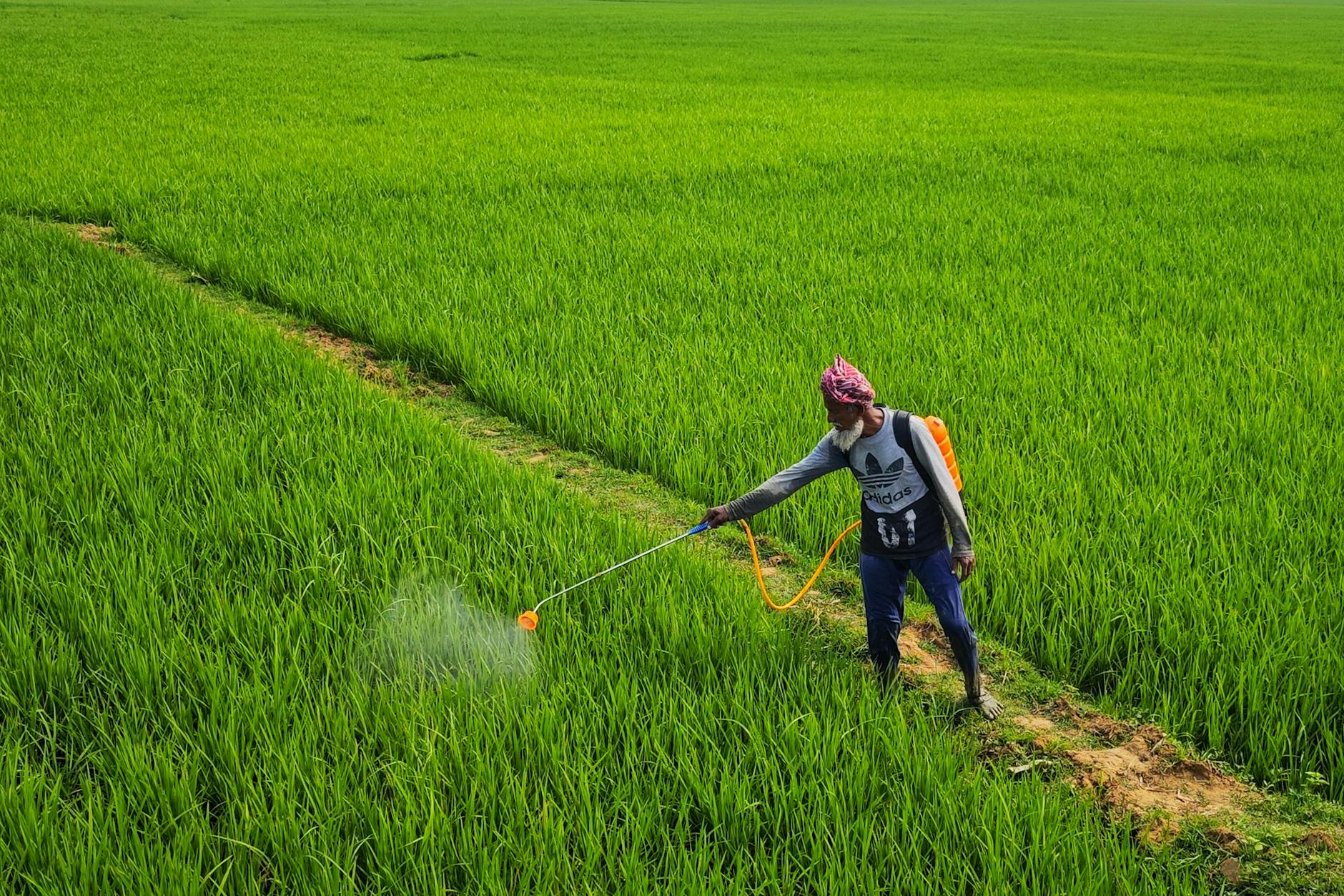 The Hidden Impact of Glyphosate on Your Body